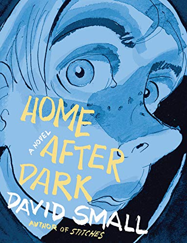Book Cover Home After Dark: A Novel