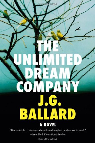 Book Cover The Unlimited Dream Company: A Novel