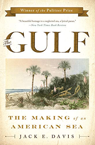Book Cover The Gulf: The Making of An American Sea