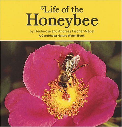 Life of the Honeybee (Carolrhoda Nature Watch Book)