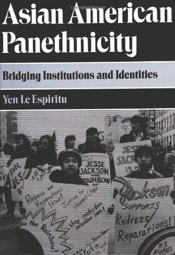 Asian American Panethnicity (Asian American History & Culture)