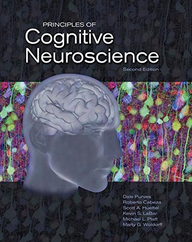 Book Cover Principles of Cognitive Neuroscience