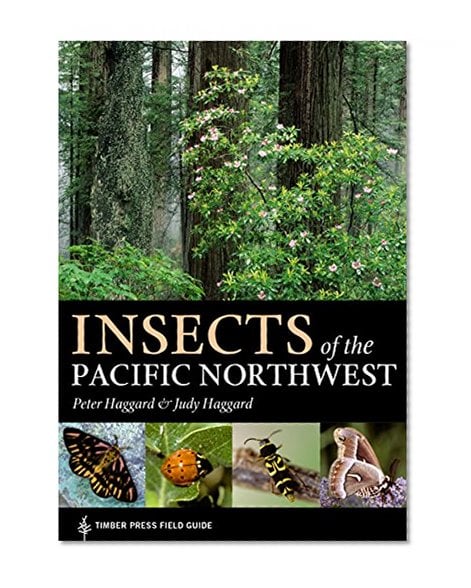 Book Cover Insects of the Pacific Northwest (Timber Press Field Guides)