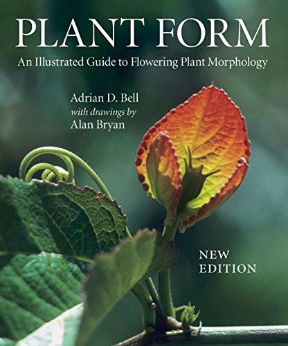Book Cover Plant Form: An Illustrated Guide to Flowering Plant Morphology