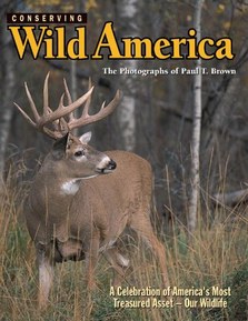 Conserving Wild America