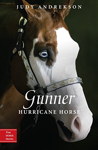 Book Cover Gunner: Hurricane Horse (True Horse Stories)