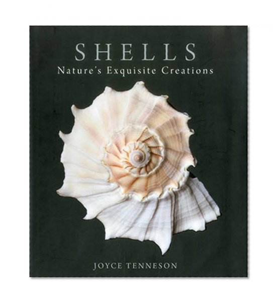 Book Cover Shells: Nature's Exquisite Creations