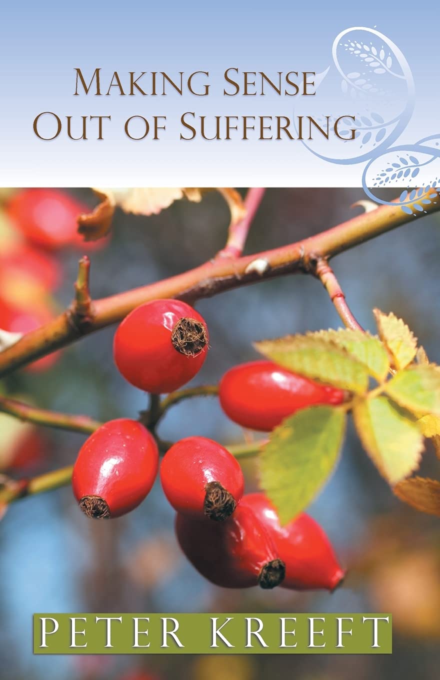Book Cover Making Sense Out of Suffering