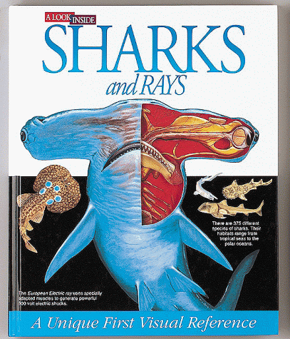 Sharks and Rays: A Unique First Visual Reference