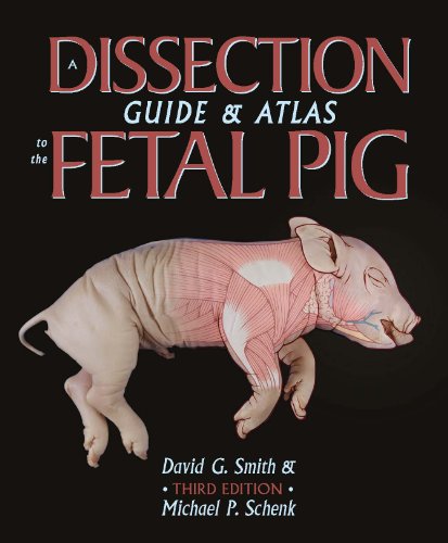 Book Cover A Dissection Guide and Atlas to the Fetal Pig