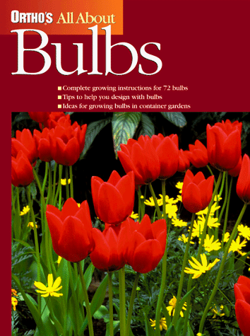 All About Bulbs