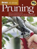Ortho's All About Pruning