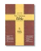 Saint Joseph Giant Print Bible-NABRE