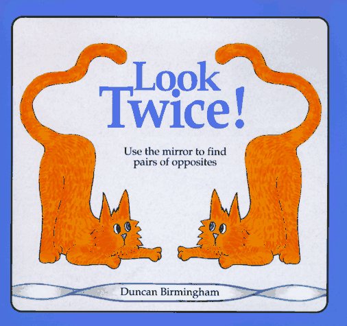 Look Twice: Mirror Reflections, Logical Thinking