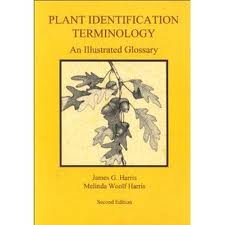 Plant Identification Terminology: An Illustrated Glossary 2nd (second) edition