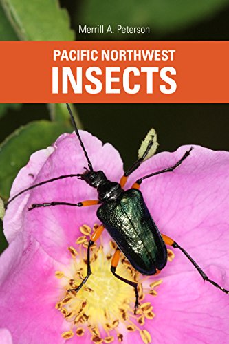 Book Cover Pacific Northwest Insects