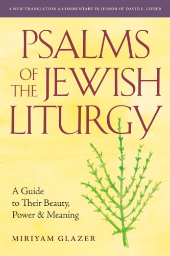 Psalms of the Jewish Liturgy: A Guide to Their Beauty, Power, and Meaning