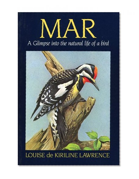 Mar: A Glimpse Into the Natural Life of a Bird
