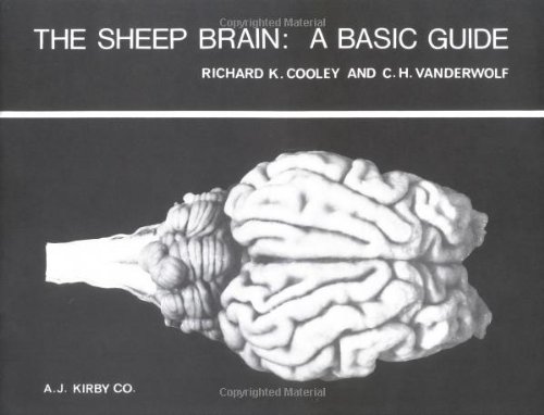 Book Cover The Sheep Brain: A Basic Guide