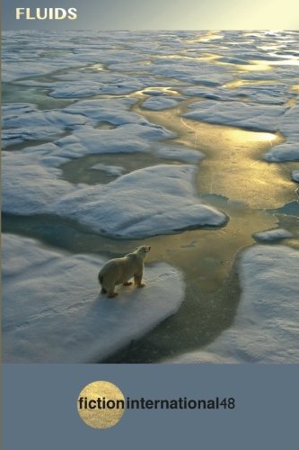 Fiction International 48: Fluids (Volume 48)