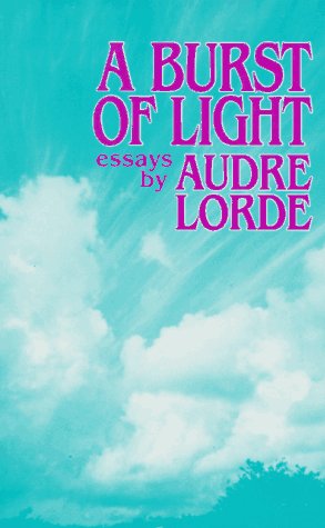 A Burst of Light: Essays