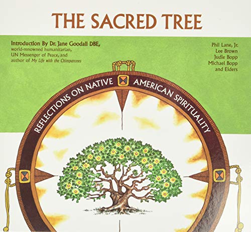 Book Cover Sacred Tree: Reflections on Native American Spirituality