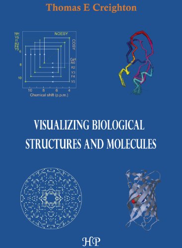 Visualizing Biological Structures and Molecules