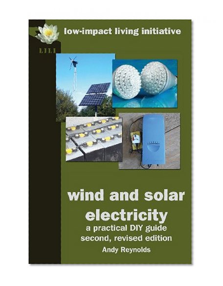 Wind & Solar Electricity: A Practical DIY Guide, Second, Revised Edition