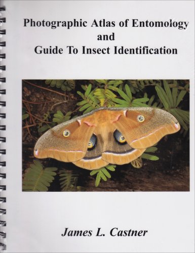 Book Cover Photographic Atlas of Entomology & Guide to Insect Identification