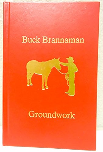 Book Cover Groundwork: The First Impression