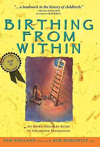 Book Cover Birthing from Within: An Extra-Ordinary Guide to Childbirth Preparation