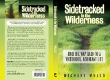 Sidetracked in the Wilderness: Find the Way Back to a Victorious, Abundant Life