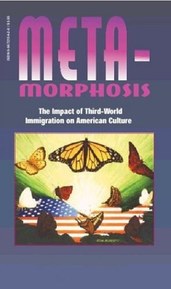 Metamorphosis: The Impact of Third-World Immigration on American Culture