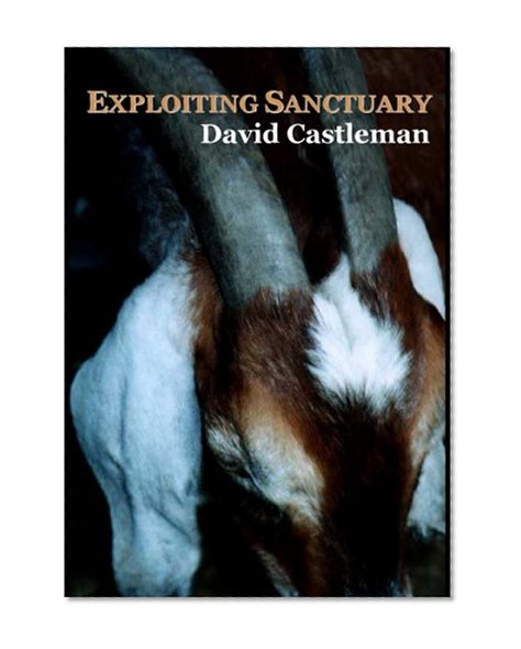 Exploiting Sanctuary