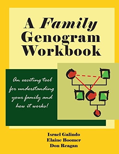 Book Cover A Family Genogram Workbook: An Exciting Tool for Understanding Your Family and How it Works!