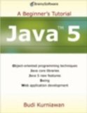 Java 5: A Beginner's Tutorial (Brainysoftware)
