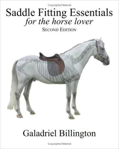 Saddle Fitting Essentials