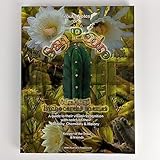 Trout's Notes on San Pedro & Related Trichocereus Species