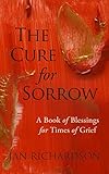 The Cure for Sorrow