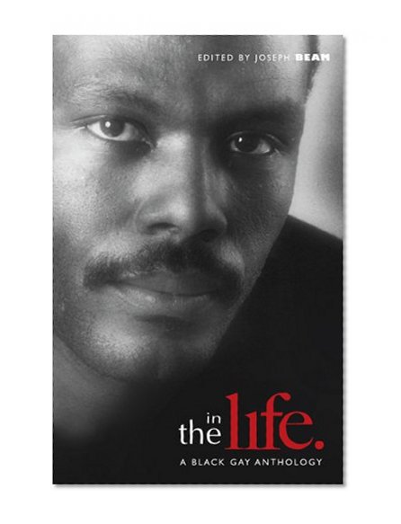 In the Life: A Black Gay Anthology