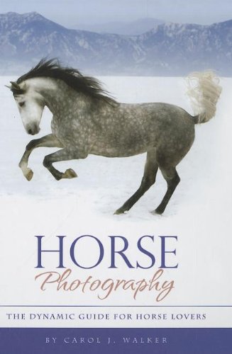 Book Cover Horse Photography: The Dynamic Guide for Horse Lovers