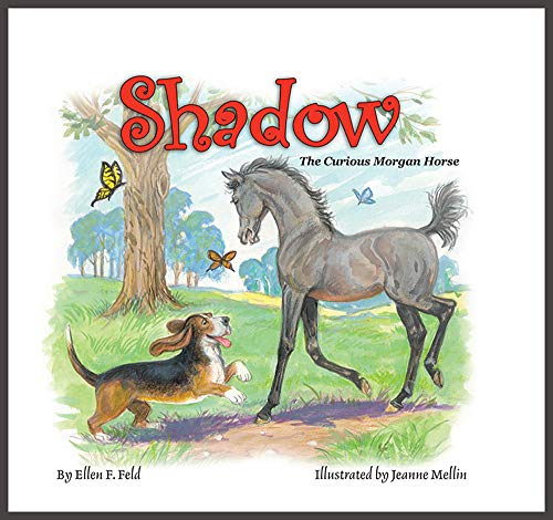Book Cover Shadow: The Curious Morgan Horse