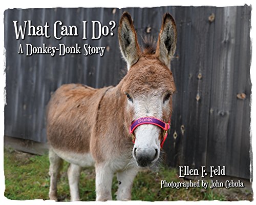 Book Cover What Can I Do? A Donkey-Donk Story