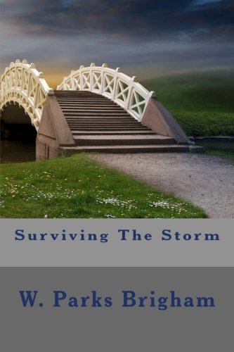 Book Cover Surviving The Storm