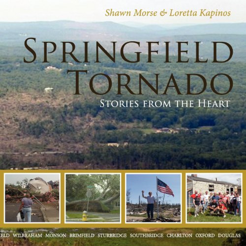 Springfield Tornado: Stories From The Heart