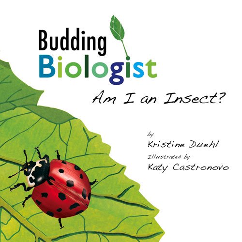 Am I an Insect? (Budding Biologist)