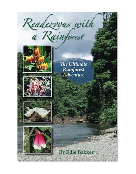 Rendezvous With a Rainforest