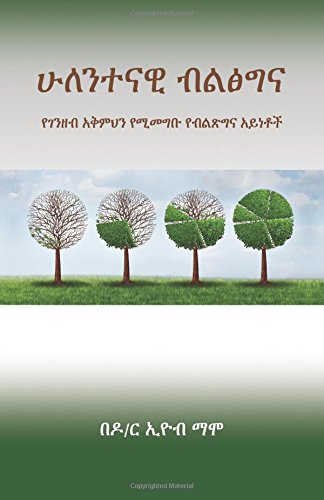 Book Cover Holistic Wealth (Amharic Edition)
