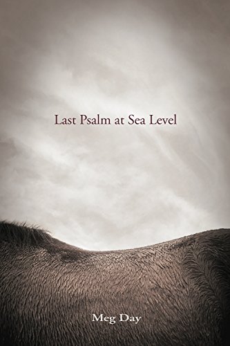 Book Cover Last Psalm at Sea Level