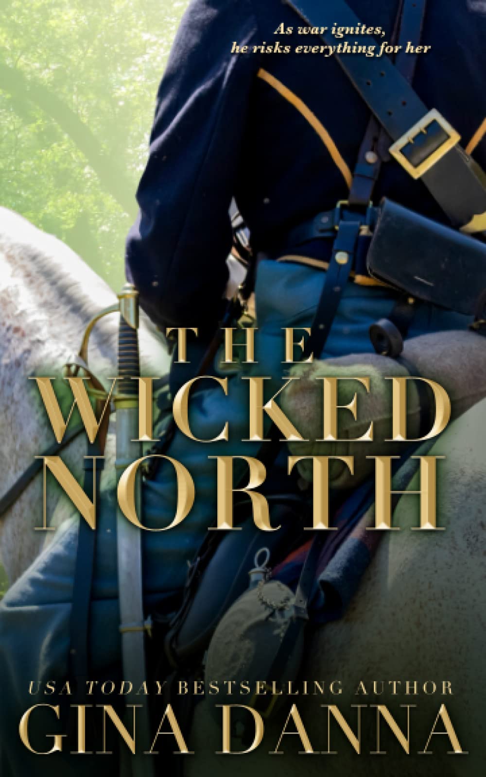 Book Cover The Wicked North (Hearts Touched By Fire) (Volume 1)
